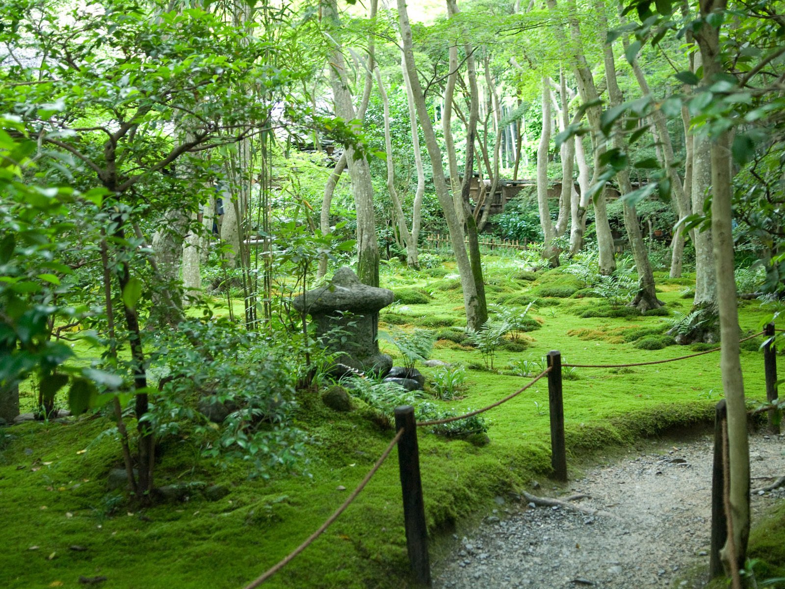 Обои деревья, лето, япония, сад, тропинка, trees, summer, japan, garden, path разрешение 1920x1200 Загрузить