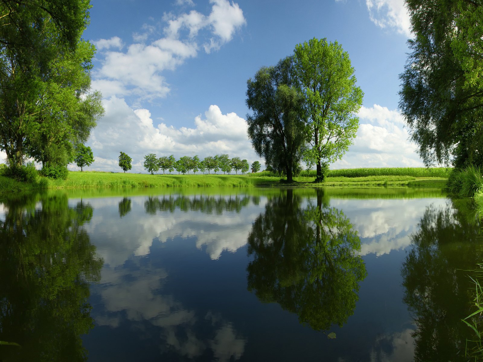 Обои небо, трава, облака, деревья, река, природа, отражение, пейзаж, the sky, grass, clouds, trees, river, nature, reflection, landscape разрешение 1920x1200 Загрузить