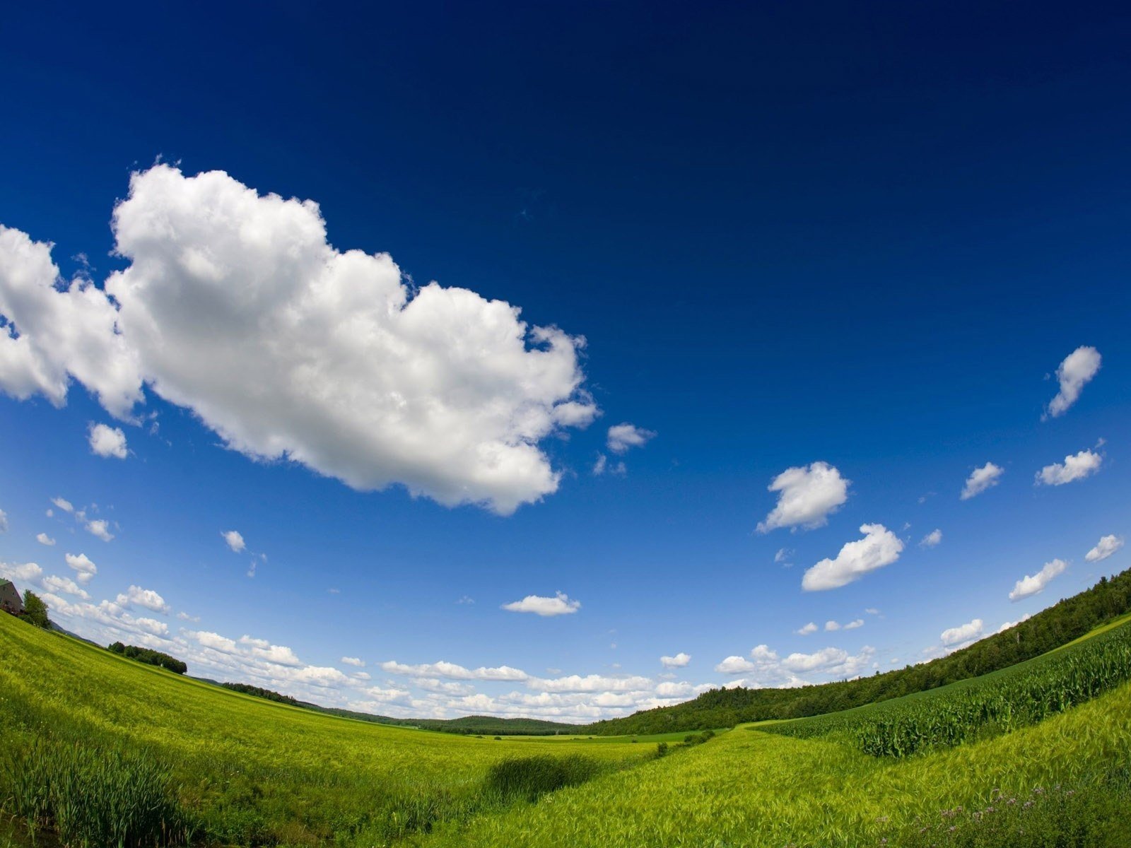 Обои небо, облака, пейзаж, горизонт, the sky, clouds, landscape, horizon разрешение 1920x1200 Загрузить