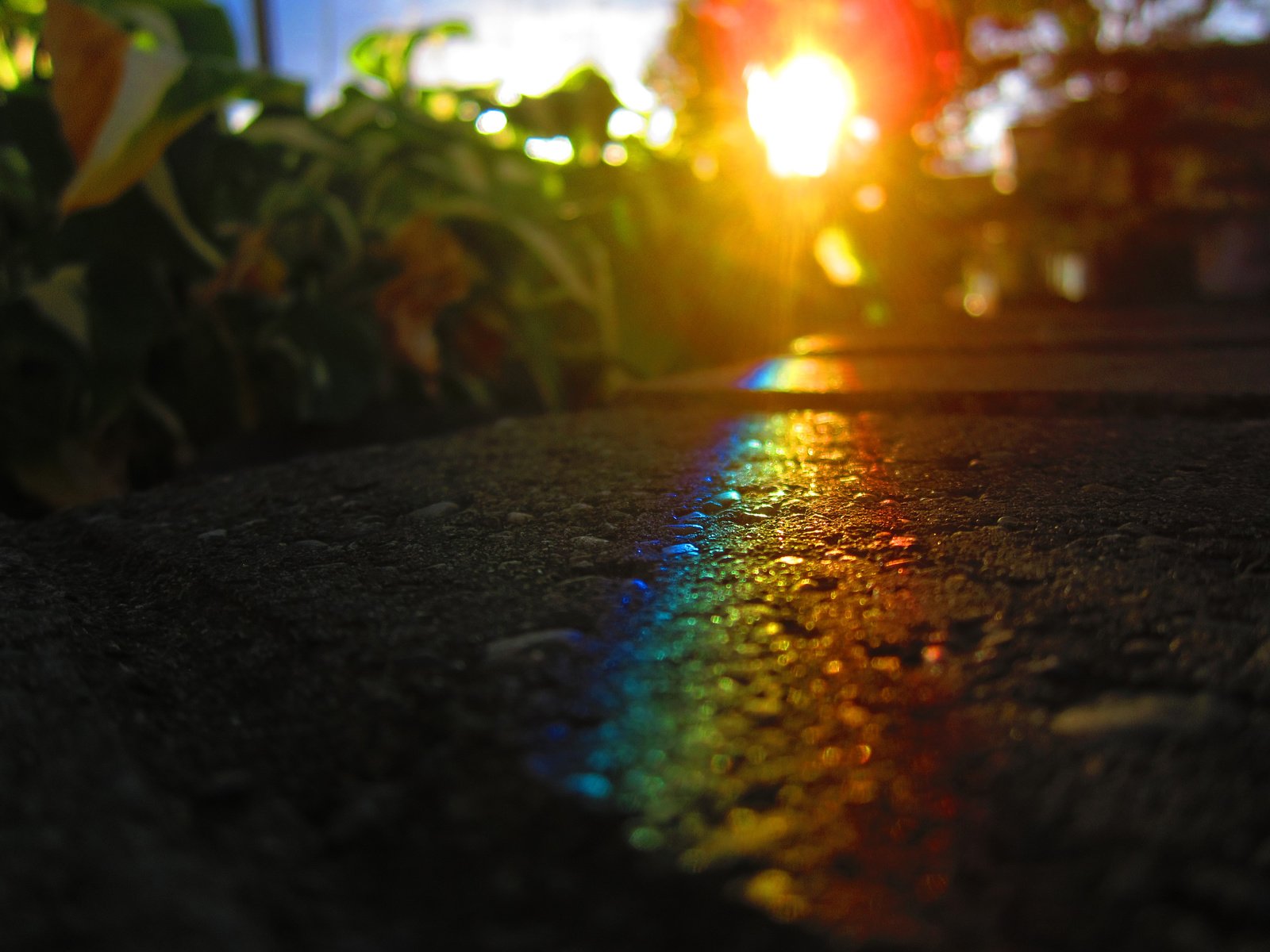 Обои дорога, макро, лучи, радуга, road, macro, rays, rainbow разрешение 3648x2736 Загрузить