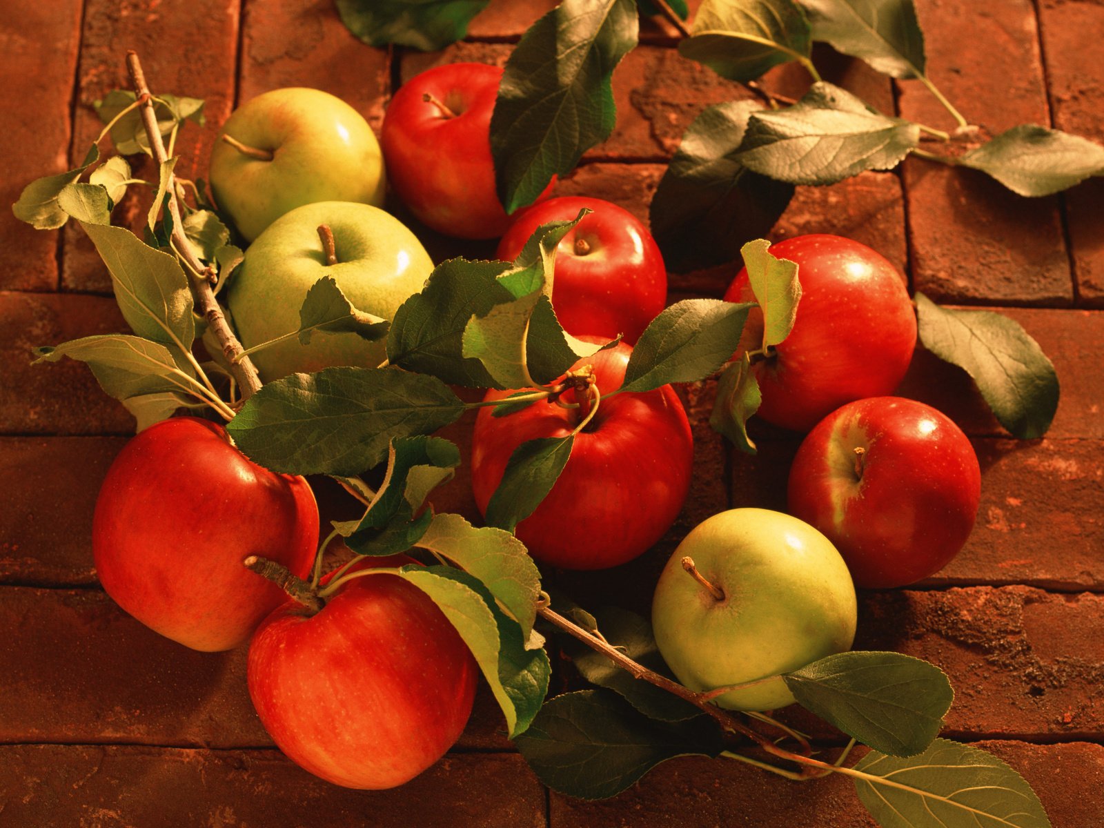 Обои листья, яблоки, сочные, leaves, apples, juicy разрешение 2950x2094 Загрузить