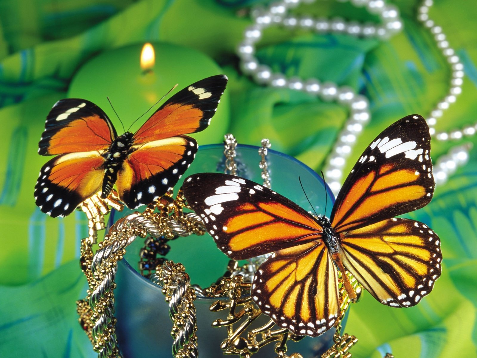 Обои насекомое, бабочка, крылья, монарх, insect, butterfly, wings, monarch разрешение 1920x1440 Загрузить