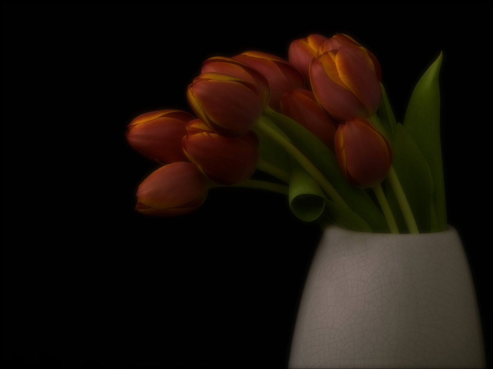 Букет тюльпанов на темном фоне
