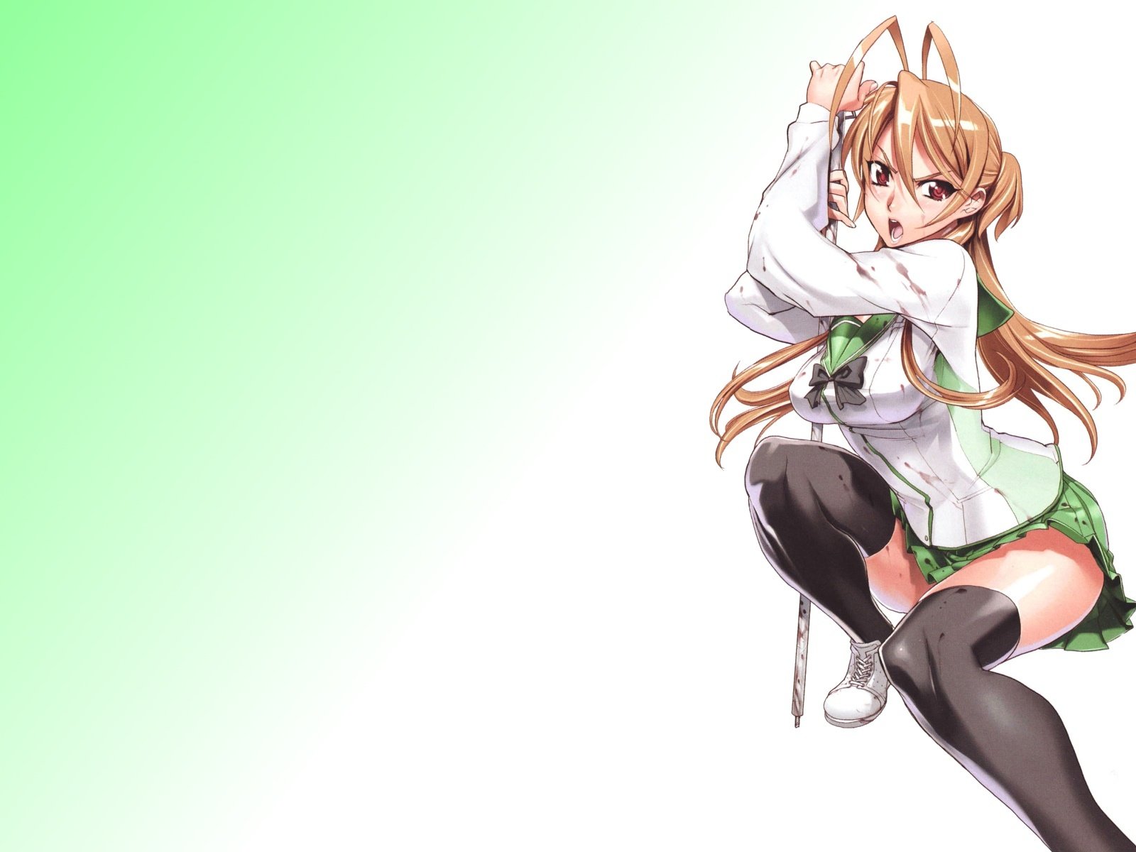 Обои highschool of the dead, miyamoto rei разрешение 1920x1200 Загрузить