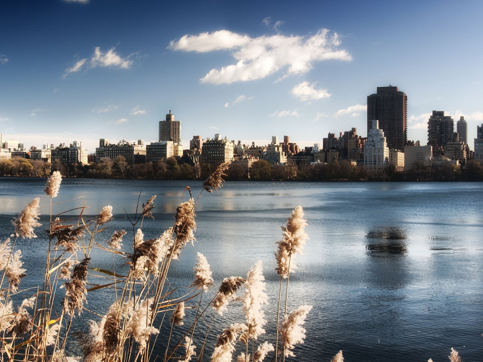 Обои небо, вода, озеро, нью-йорк, центральный парк, the sky, water, lake, new york, central park разрешение 3780x1799 Загрузить