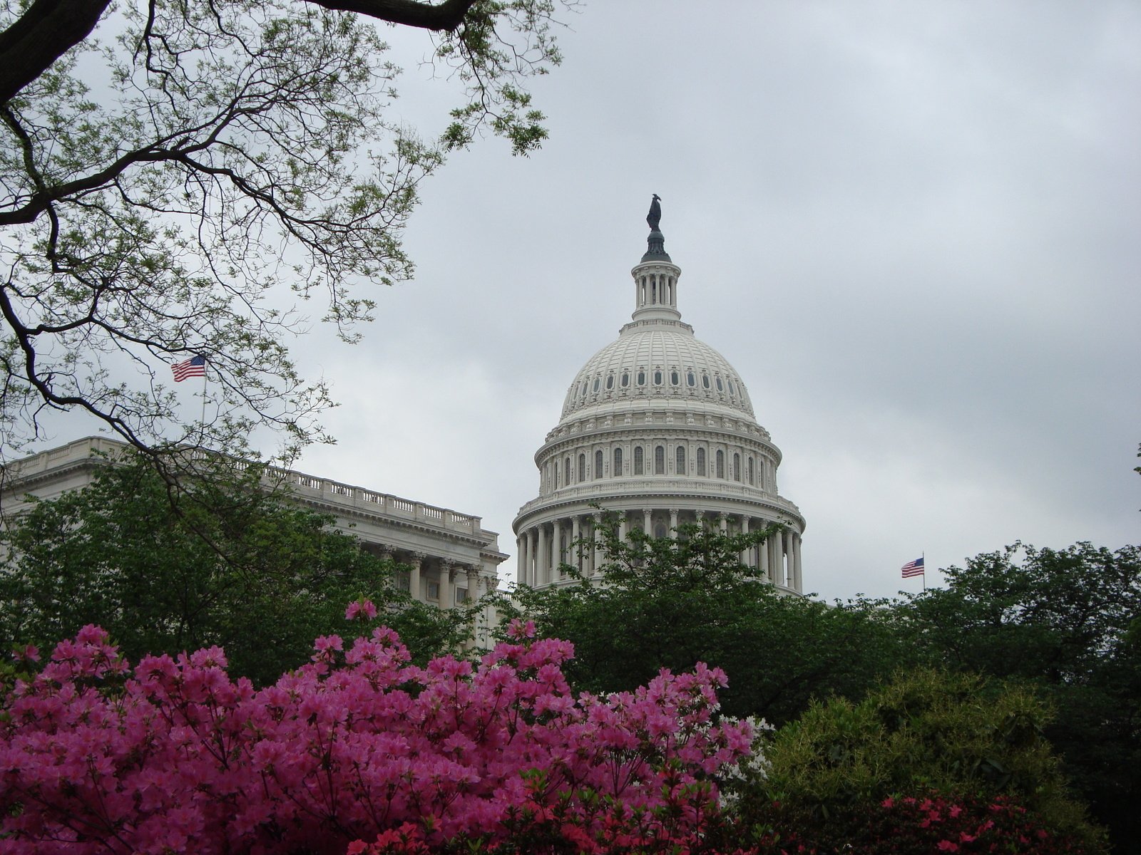 Обои вашингтон, белый дом, капитолий, washington, the white house, capitol разрешение 3072x2304 Загрузить