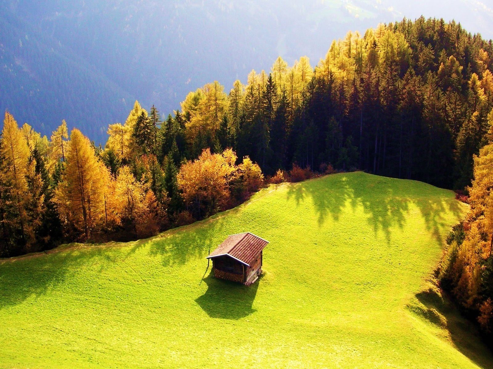 Обои трава, роща, деревья, горы, лес, осень, луг, дом, зеленая, grass, grove, trees, mountains, forest, autumn, meadow, house, green разрешение 1920x1200 Загрузить