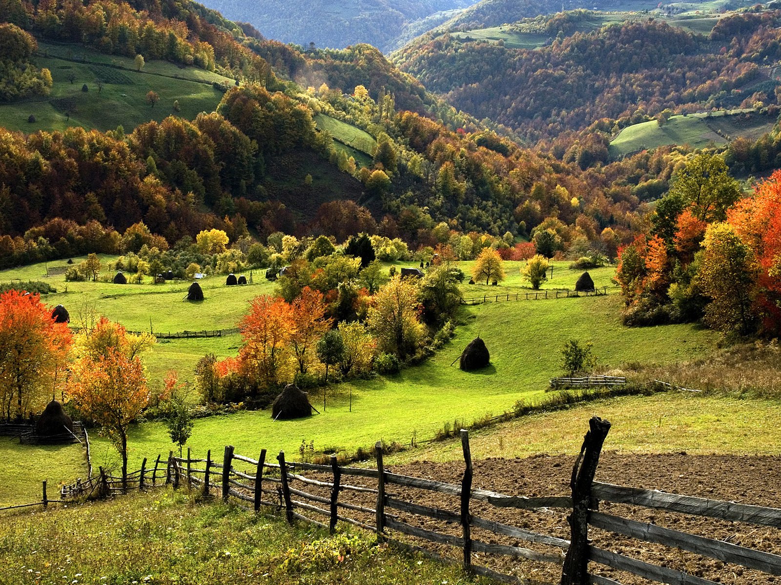 Обои трава, долина, деревья, горы, природа, лес, сено, осень, забор, grass, valley, trees, mountains, nature, forest, hay, autumn, the fence разрешение 1920x1200 Загрузить