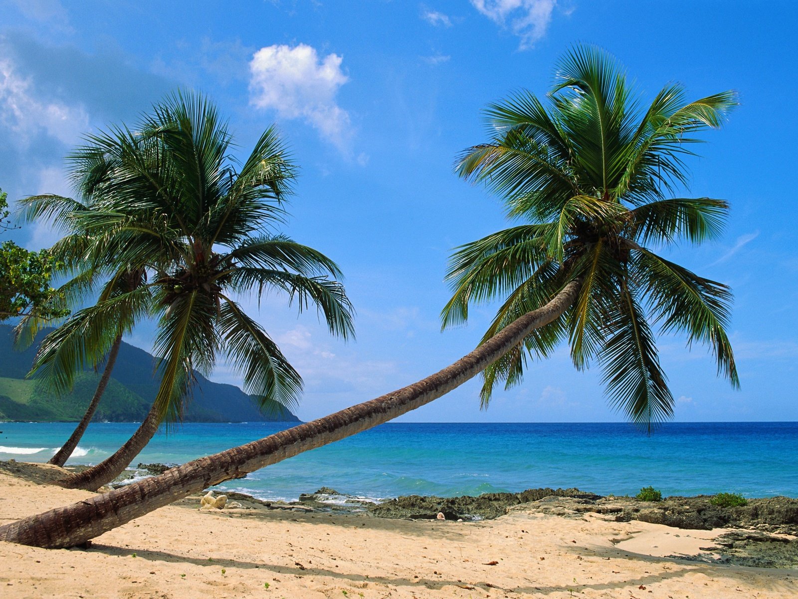 Обои пляж, тропики, beach, tropics разрешение 3953x2564 Загрузить