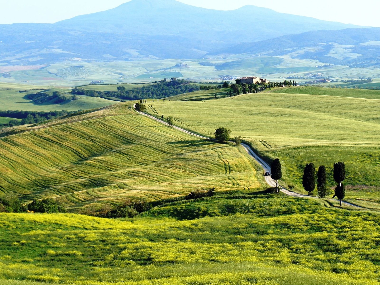 Обои поля, италия, тоскана, toscana, pienza, пьенца, terrapille, field, italy, tuscany разрешение 2560x1440 Загрузить