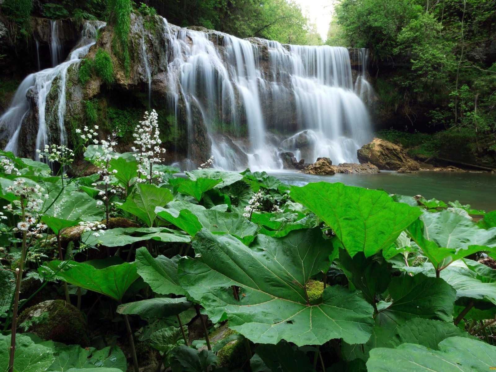 Обои деревья, растения, лес, листья, водопад, речка, trees, plants, forest, leaves, waterfall, river разрешение 2048x1348 Загрузить