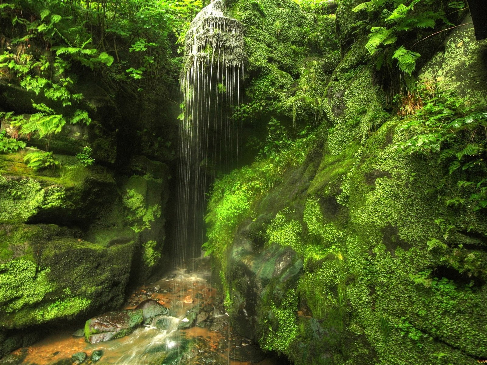 Обои лес, германия, саксония, водопад., forest, germany, saxony, waterfall. разрешение 2048x1365 Загрузить