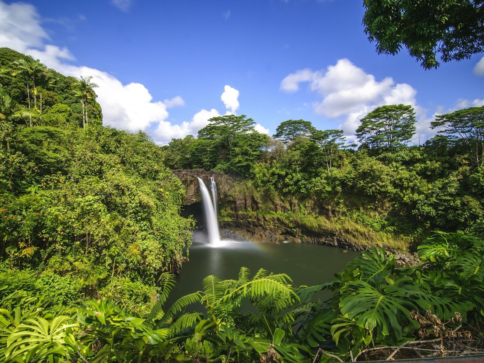 Обои деревья, лес, водопад, тропики, гавайи, trees, forest, waterfall, tropics, hawaii разрешение 2800x1860 Загрузить