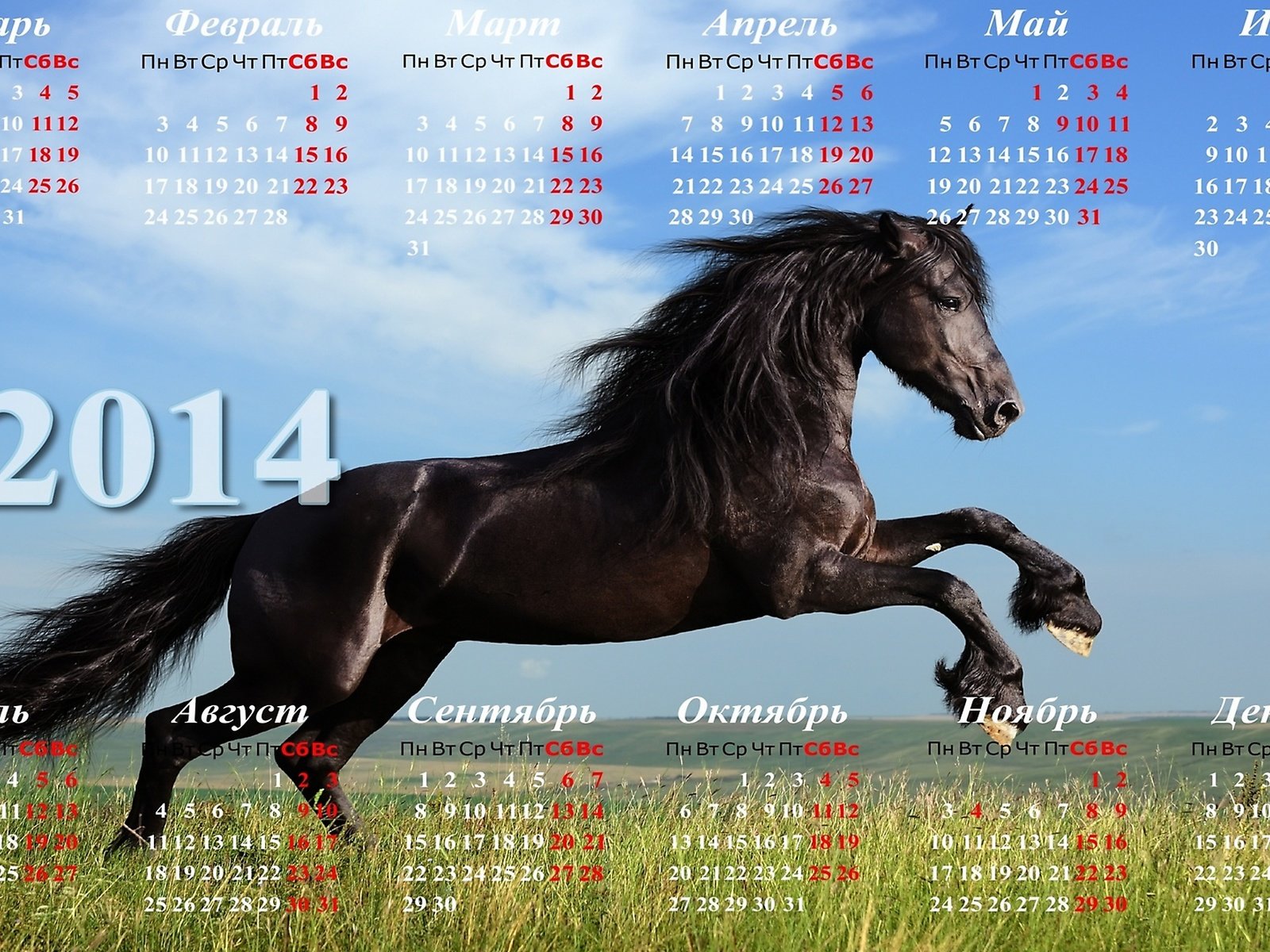 Обои календарь 2014 с лошадью, calendar 2014 with horse разрешение 2560x1440 Загрузить