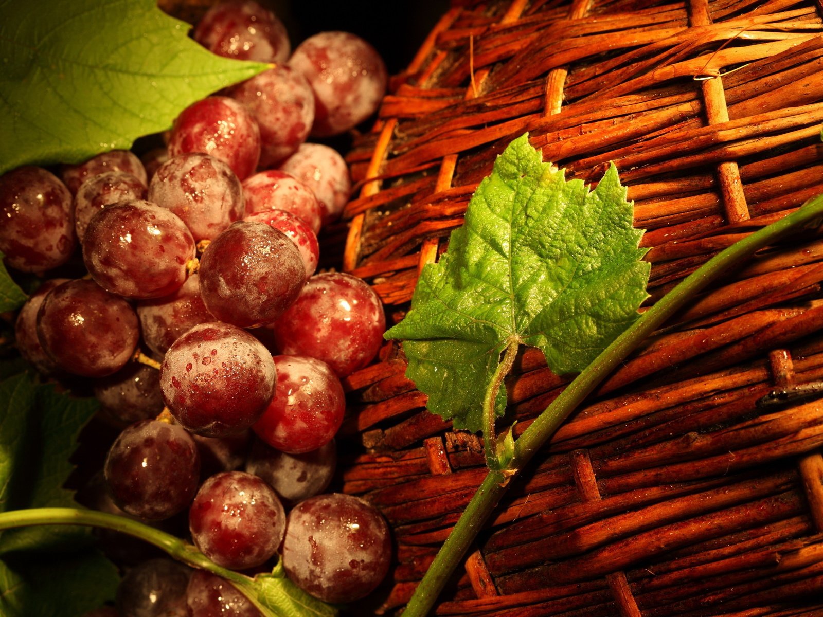 Обои листья, виноград, корзина, ягоды, лоза, корзинка, виноград красный, leaves, grapes, basket, berries, vine, grape red разрешение 2560x1600 Загрузить