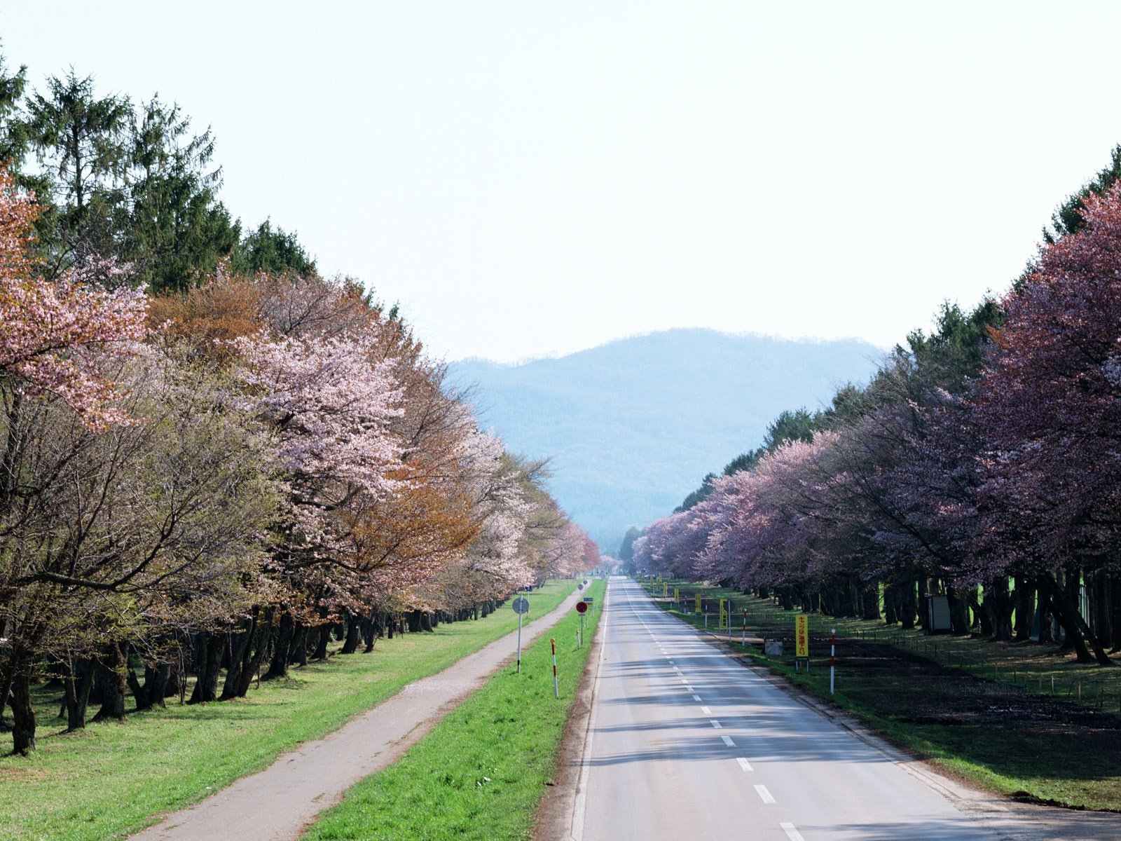 Обои хоккайдо, hokkaido разрешение 1920x1200 Загрузить