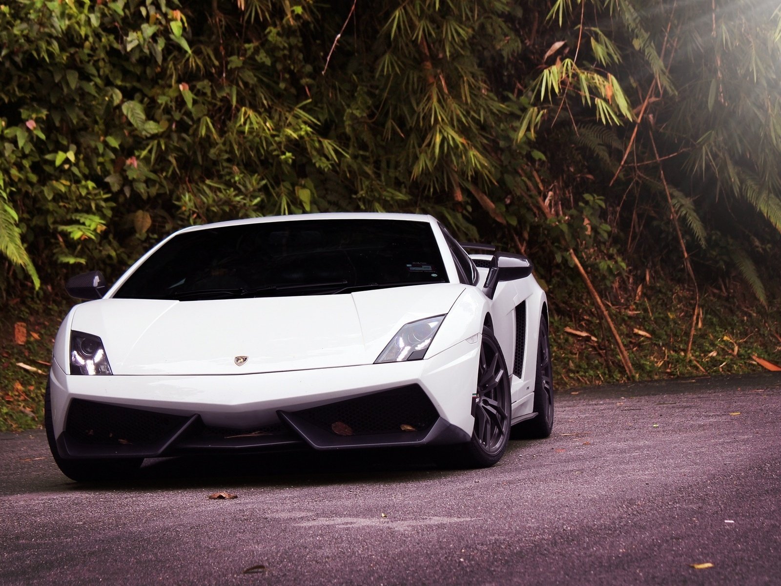 Обои белая, ламборгини, галлардо, lp570-4 superleggera, white, lamborghini, gallardo разрешение 1920x1200 Загрузить