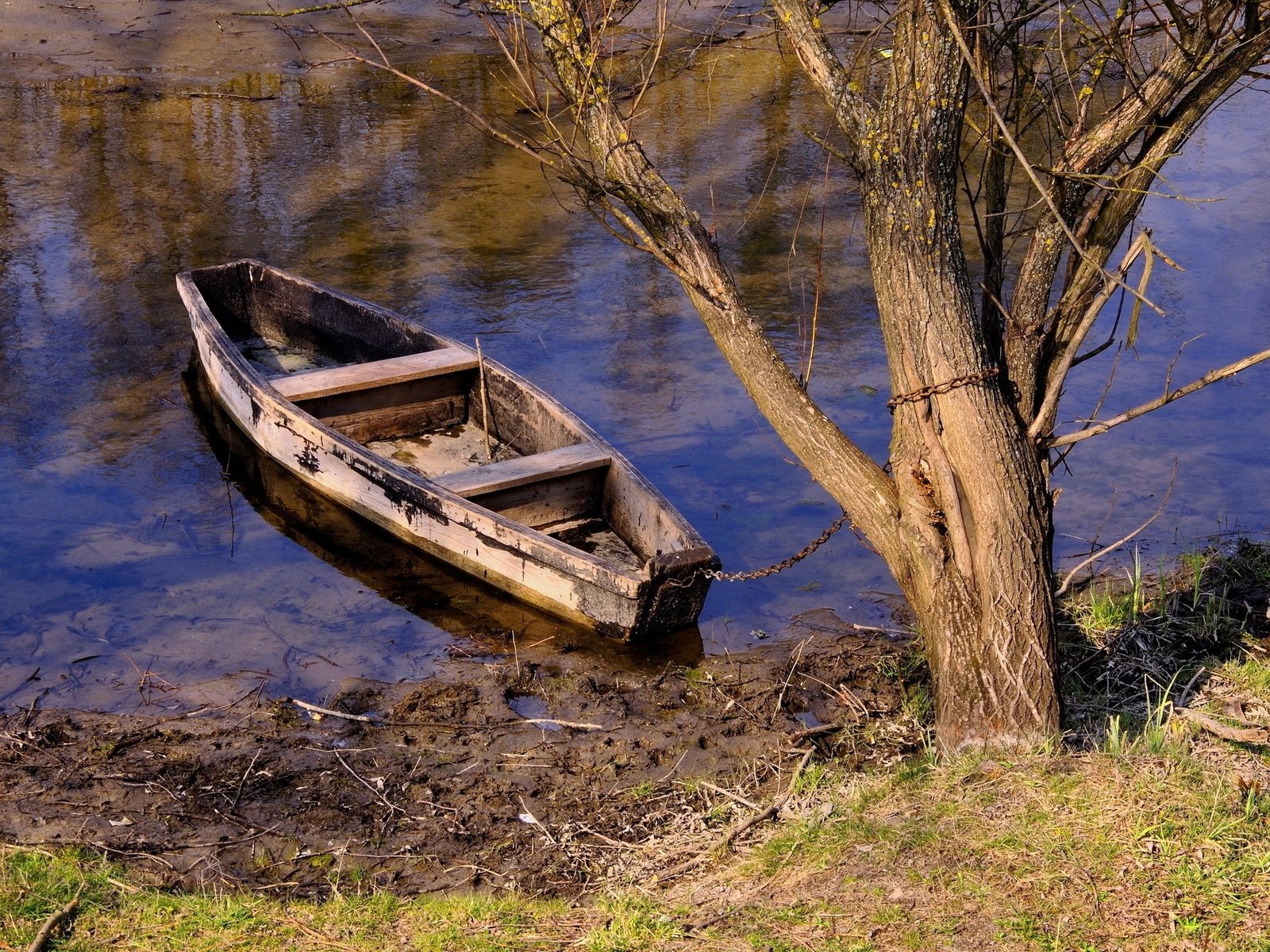 Обои река, дерево, лодка, цепь, river, tree, boat, chain разрешение 2560x1600 Загрузить