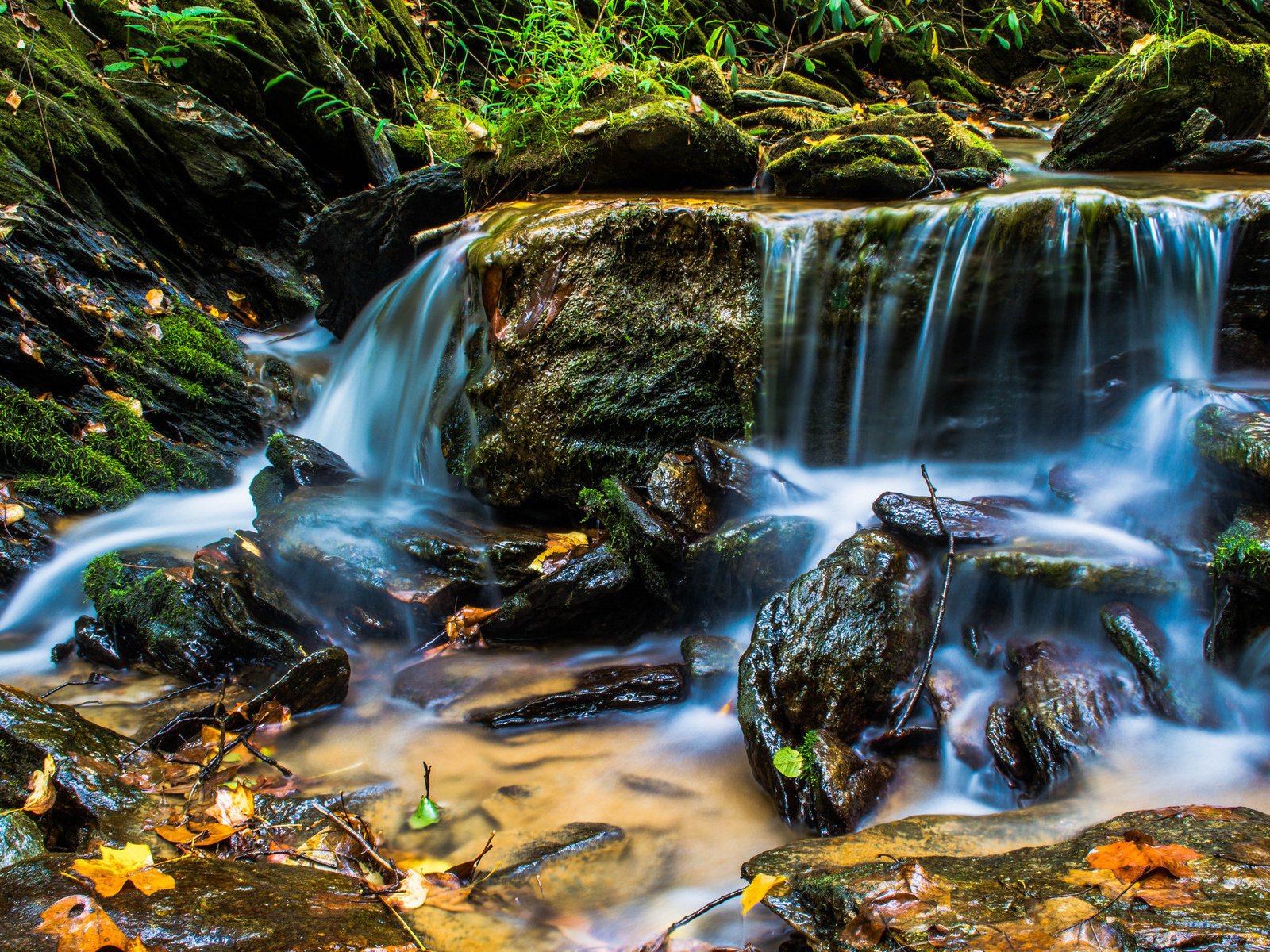 Обои вода, камни, ручей, мох, скал, ландшафт, на природе, water, stones, stream, moss, rocks, landscape, nature разрешение 1920x1200 Загрузить