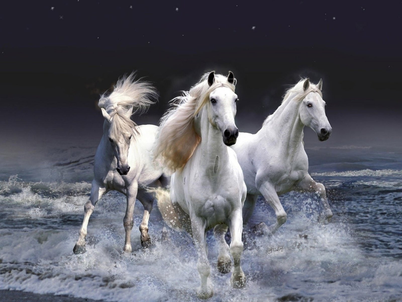 Обои декабрь, январь, три белых коня, эх, и февраль, december, january, three white horse, oh, and february разрешение 2560x1600 Загрузить