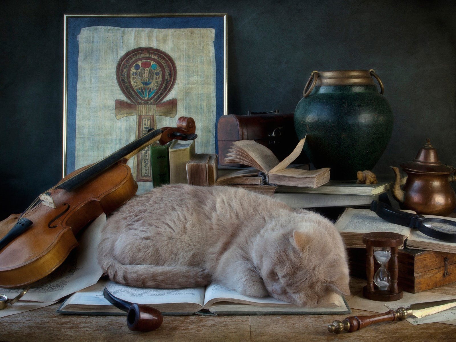 Обои скрипка, кошка, сон, трубка, книга, violin, cat, sleep, tube, book разрешение 1920x1200 Загрузить