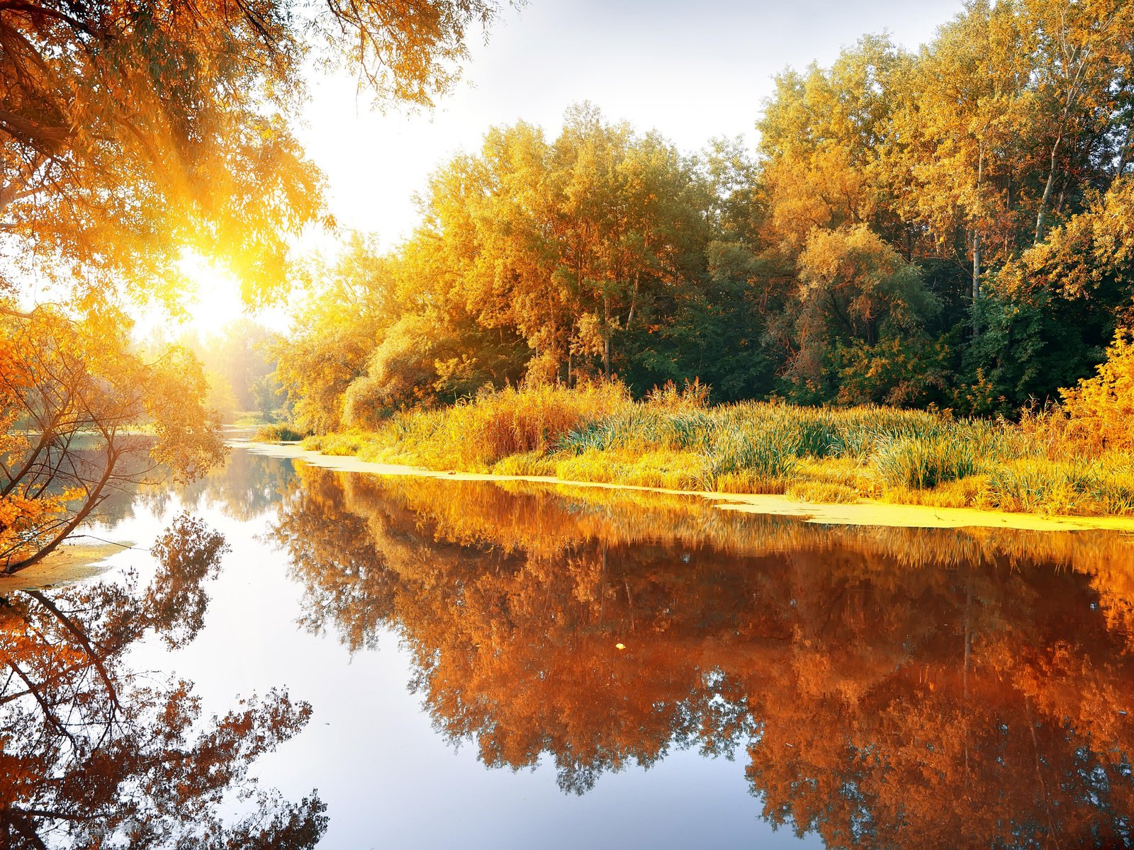 Обои деревья, река, природа, лес, отражение, осень, trees, river, nature, forest, reflection, autumn разрешение 6001x3888 Загрузить