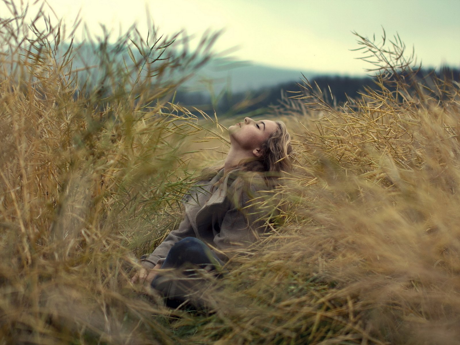 Обои трава, природа, девушка, настроение, поле, профиль, девушка.поле, grass, nature, girl, mood, field, profile, girl.field разрешение 1920x1280 Загрузить