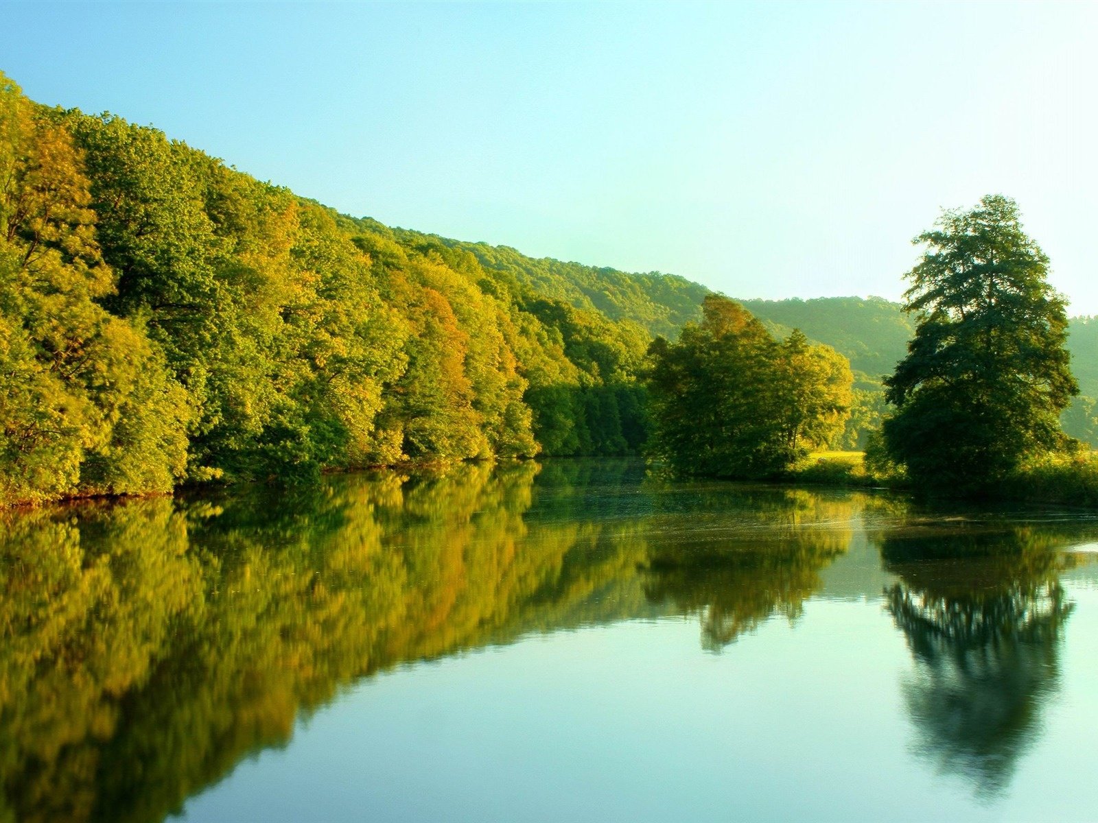 Обои деревья, река, отражение, trees, river, reflection разрешение 1920x1200 Загрузить