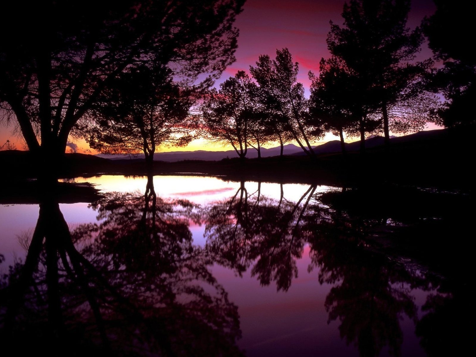 Обои деревья, вода, вечер, озеро, закат, отражение, силуэты, trees, water, the evening, lake, sunset, reflection, silhouettes разрешение 1920x1200 Загрузить