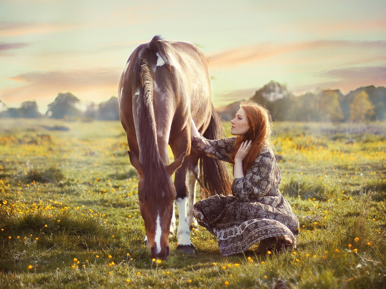 Обои цветы, лошадь, горы, природа, девушка, поле, flowers, horse, mountains, nature, girl, field разрешение 2048x1388 Загрузить