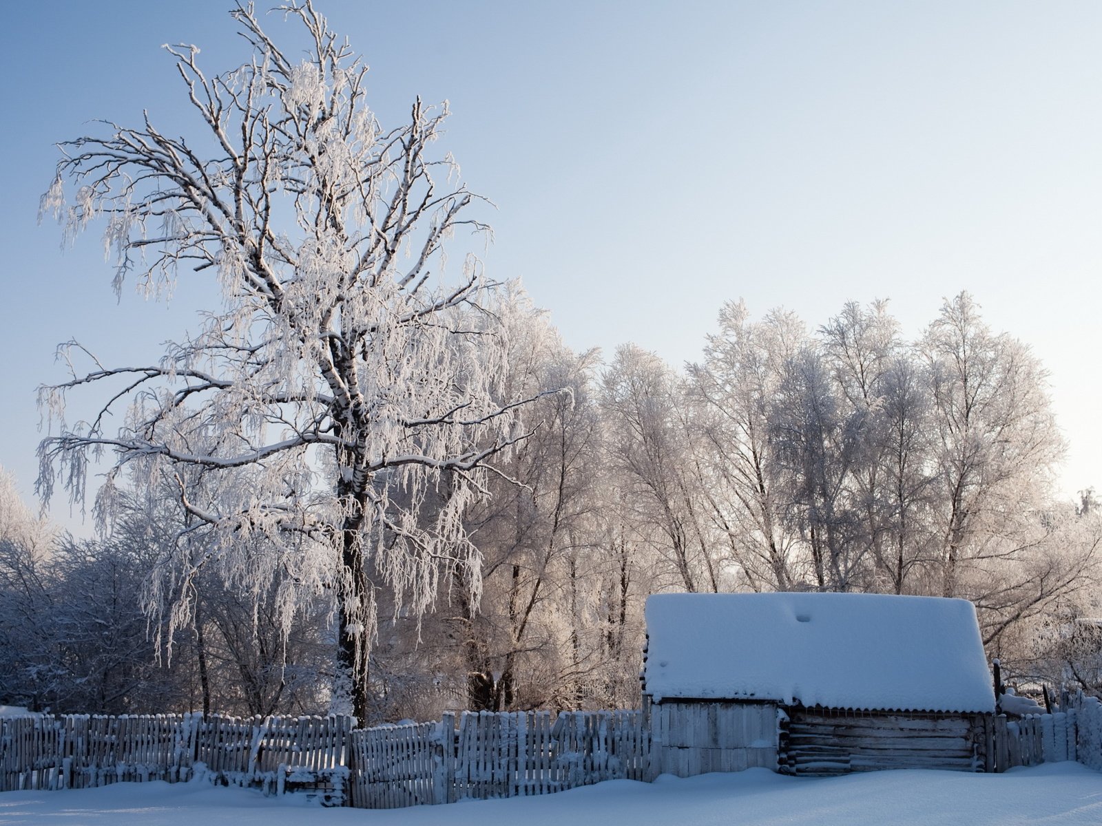 Обои снег, зима, пейзаж, забор, дом, snow, winter, landscape, the fence, house разрешение 2560x1600 Загрузить