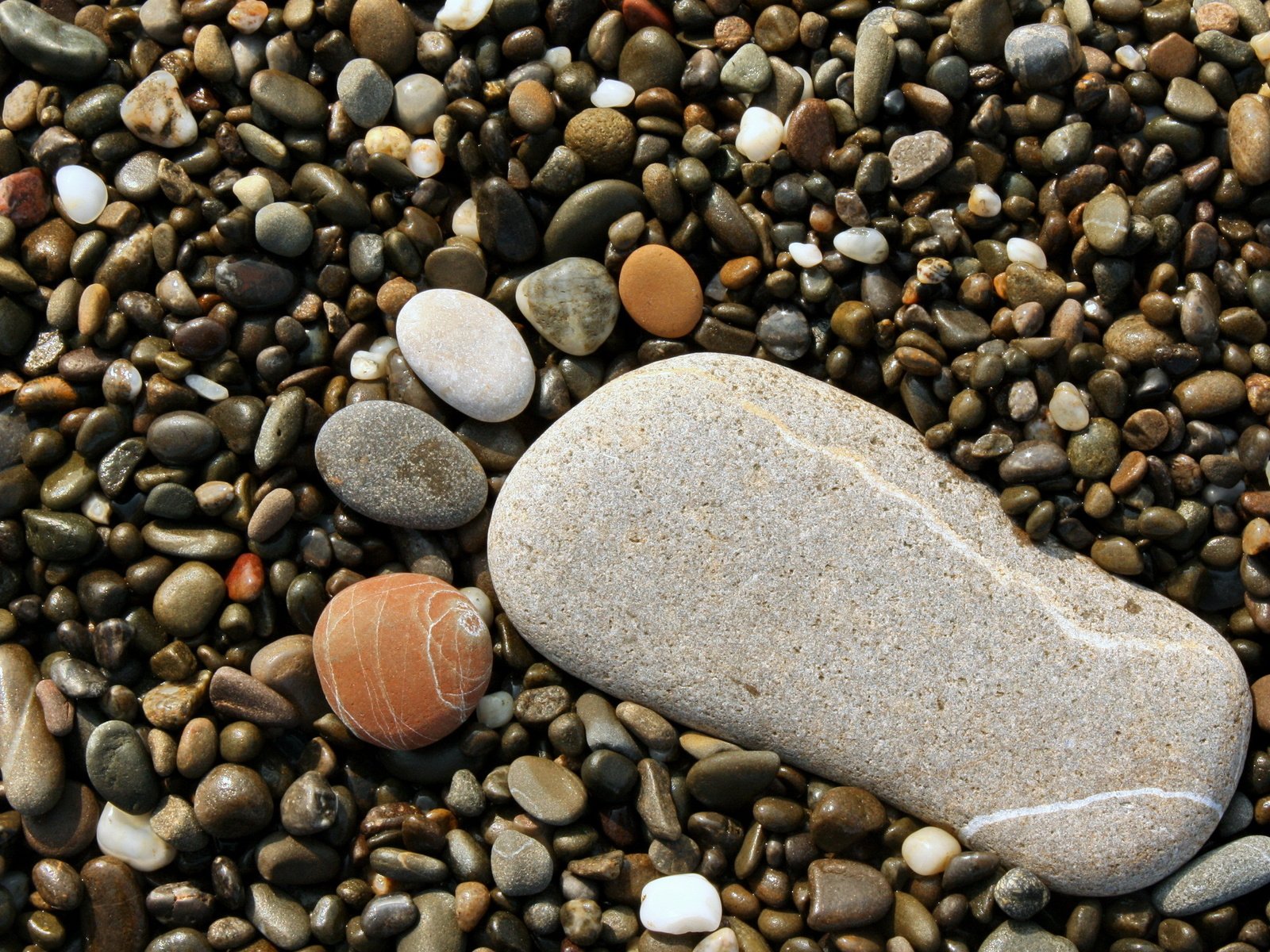 Обои камни, галька, нога, след, ступня, stones, pebbles, leg, trail, foot разрешение 2560x1600 Загрузить