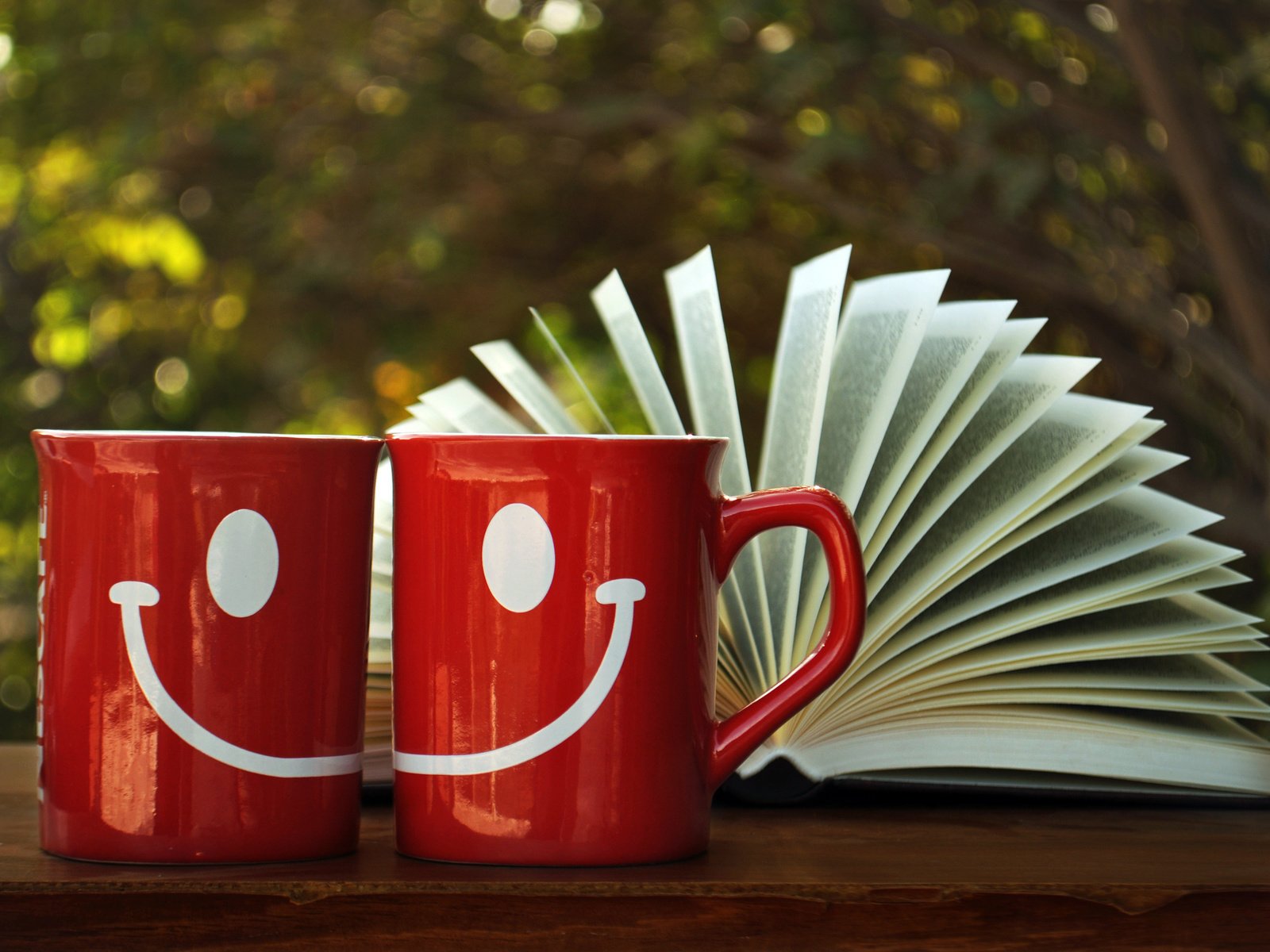 Обои рисунок, улыбка, красные, книга, чашки, страницы, figure, smile, red, book, cup, page разрешение 2560x1600 Загрузить