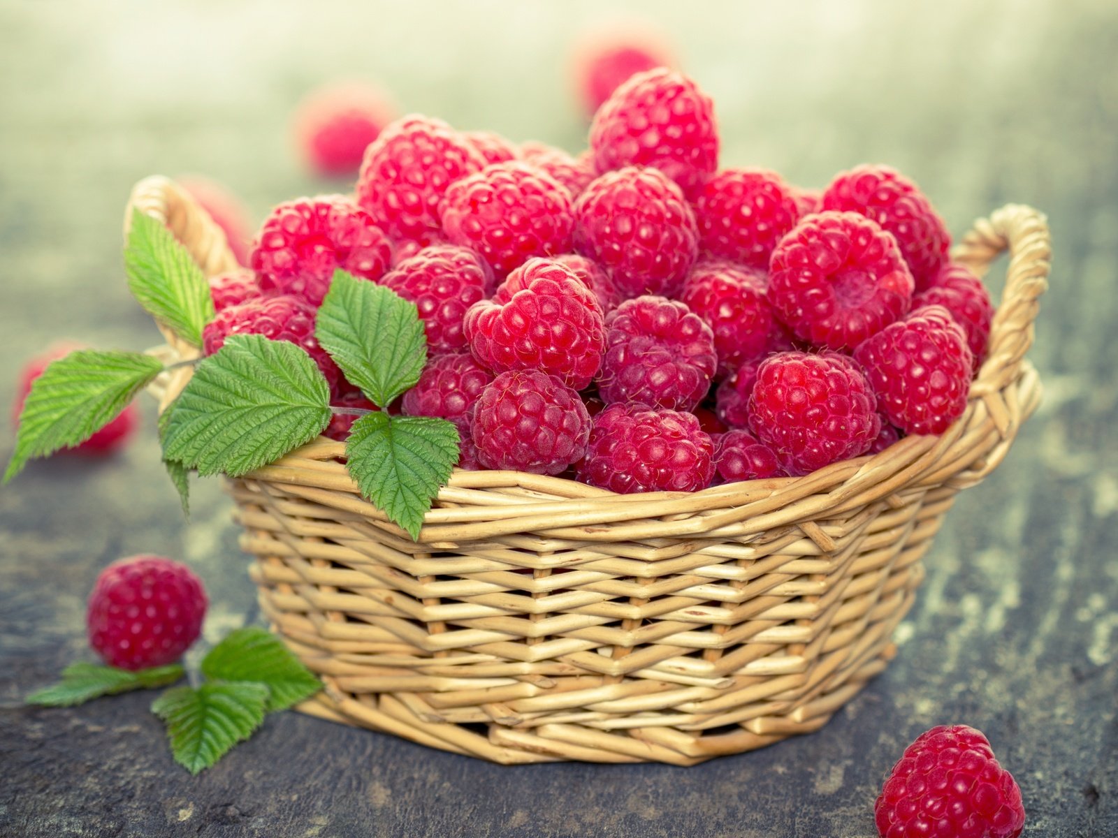 Обои малина, ягоды, листики, корзинка, raspberry, berries, leaves, basket разрешение 2880x2042 Загрузить