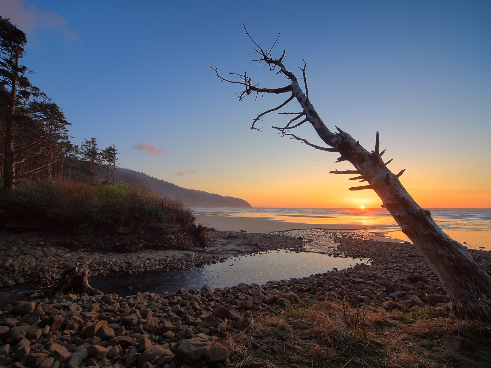 Обои небо, дерево, закат, море, побережье, the sky, tree, sunset, sea, coast разрешение 3000x1877 Загрузить