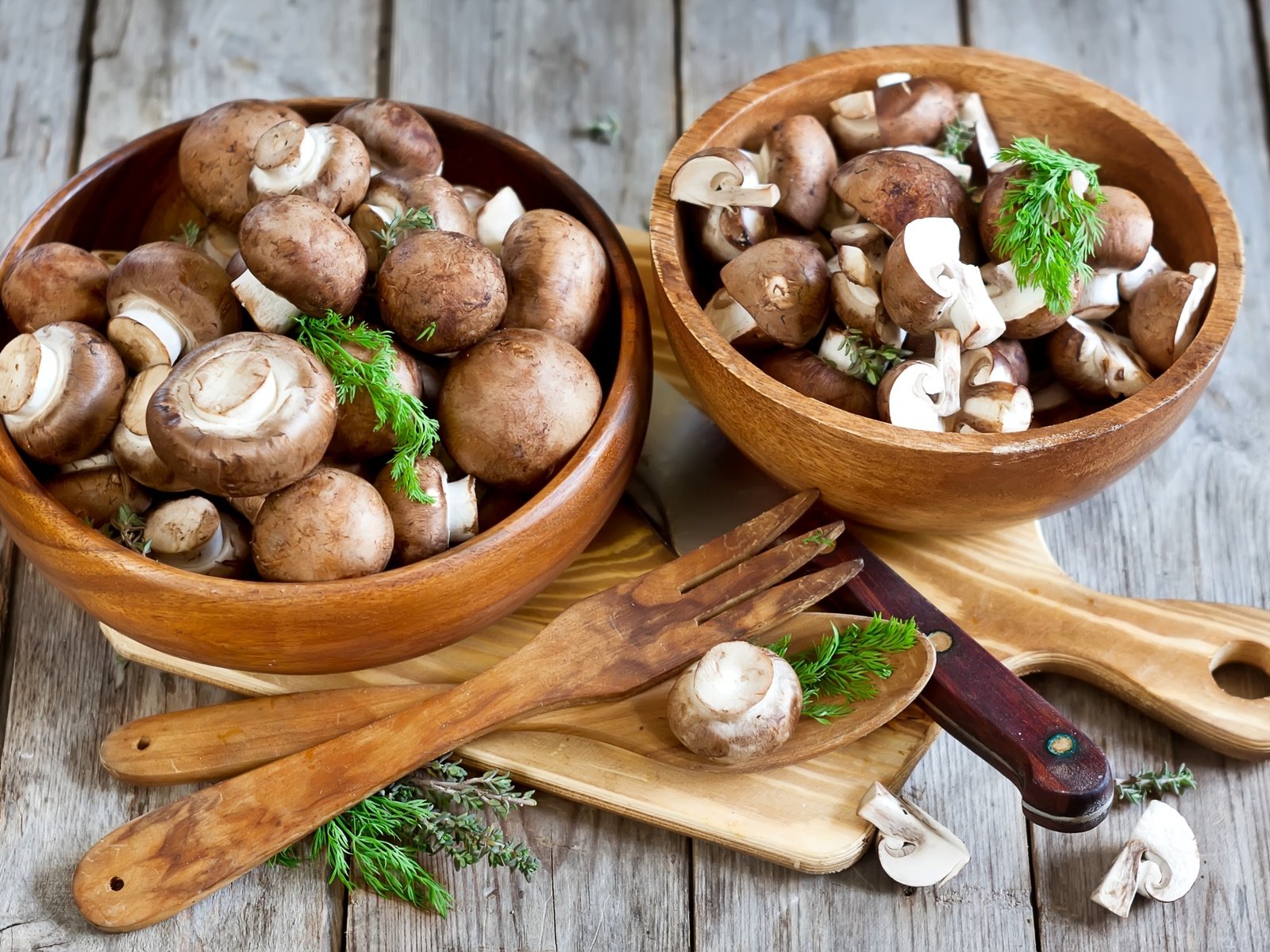 Обои грибы, вилка, нож, укроп, ложка, миски, шампиньоны, портобелло, mushrooms, plug, knife, dill, spoon, bowls, portobello разрешение 2700x1800 Загрузить