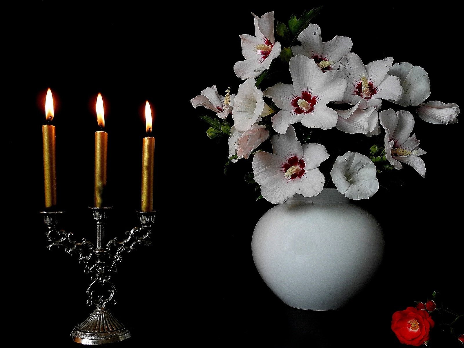 Обои цветы, свечи, черный фон, ваза, подсвечник, мальва, flowers, candles, black background, vase, candle holder, mallow разрешение 1920x1200 Загрузить