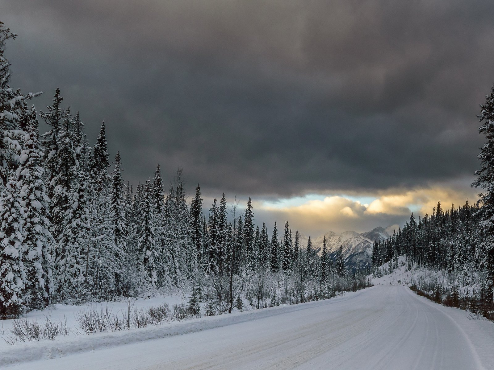 Обои дорога, горы, снег, лес, тучи, ели, road, mountains, snow, forest, clouds, ate разрешение 1920x1200 Загрузить