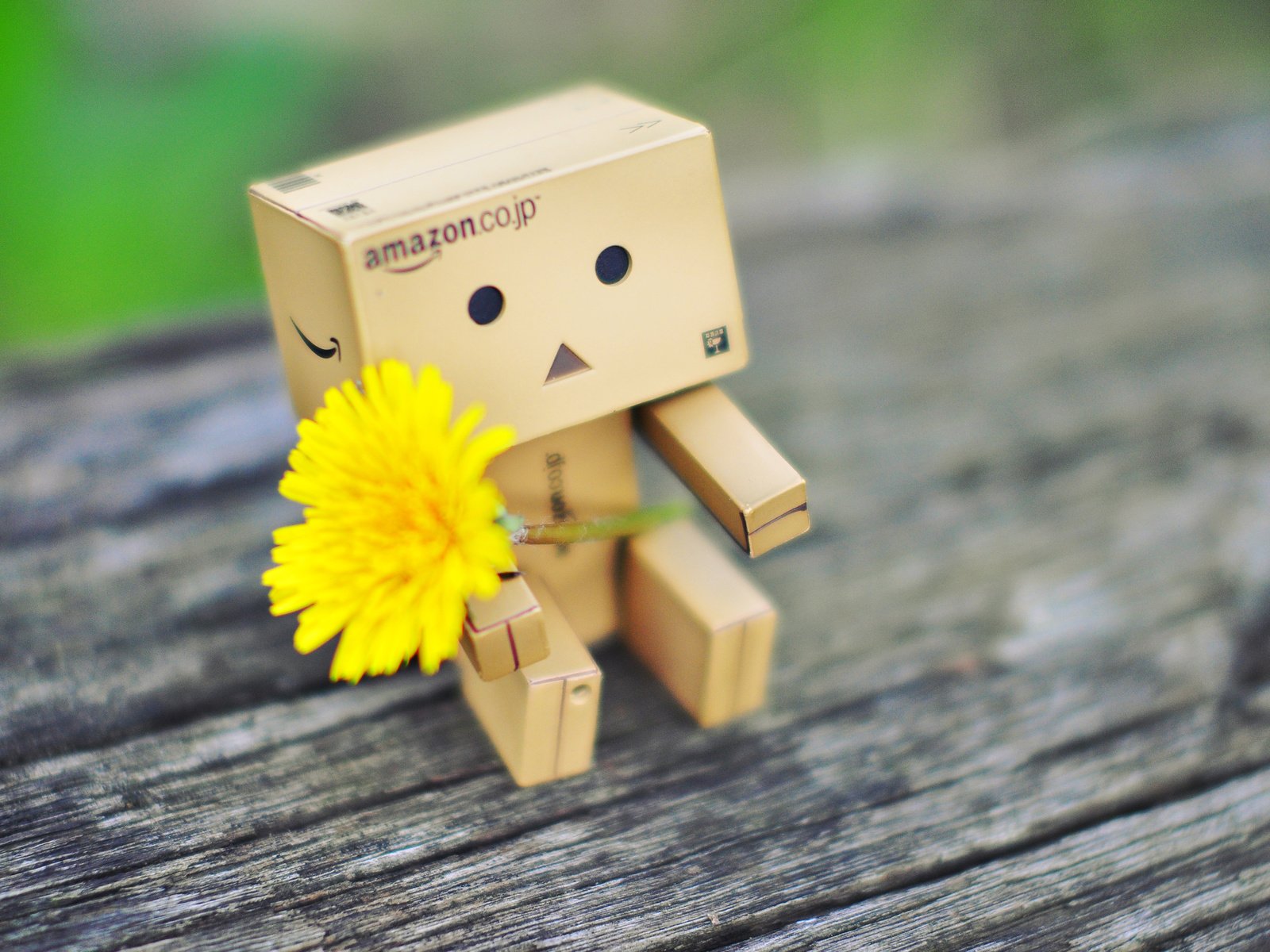 Обои одуванчик, человечек, коробка, данбо, картонный робот, dandelion, man, box, danbo, cardboard robot разрешение 3840x2400 Загрузить