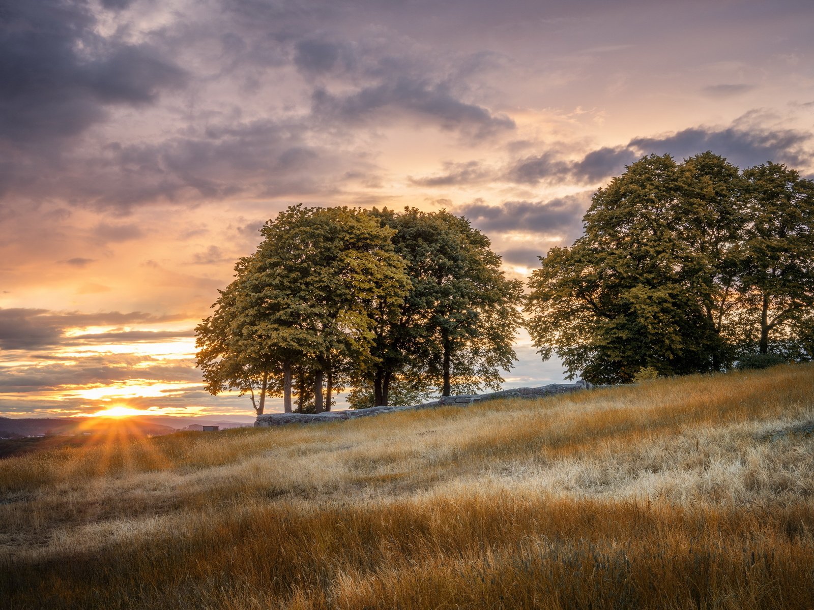 Обои закат, пейзаж, поле, sunset, landscape, field разрешение 2560x1600 Загрузить