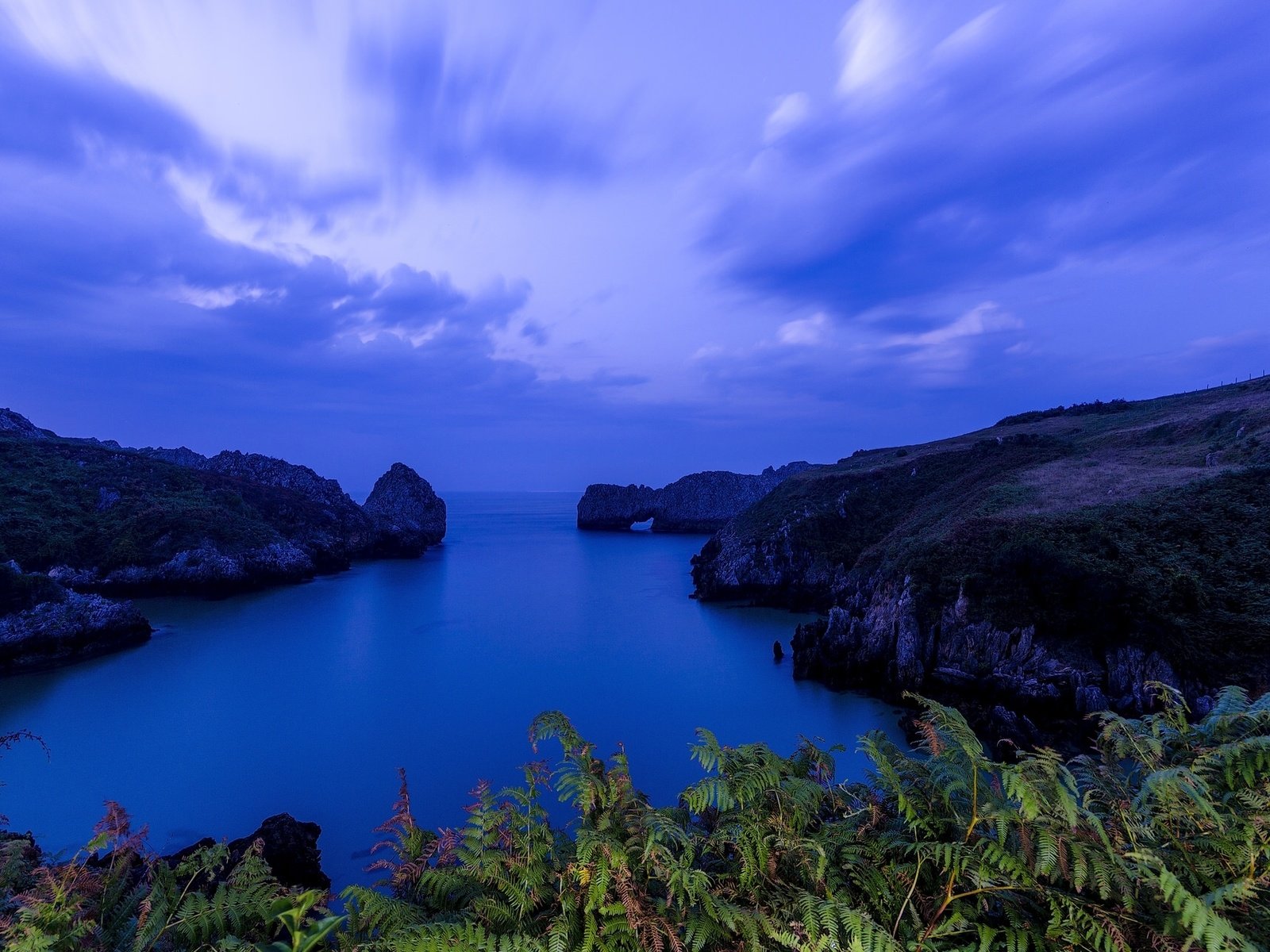 Обои скалы, playa de berellin, prellezo, море, bay of biscay, валь-де-сан-висенте, залив, испания, папоротник, бухта, бискайский залив, испании, кантабрия, rocks, sea, val de san vicente, bay, spain, fern, the bay of biscay, cantabria разрешение 2048x1281 Загрузить