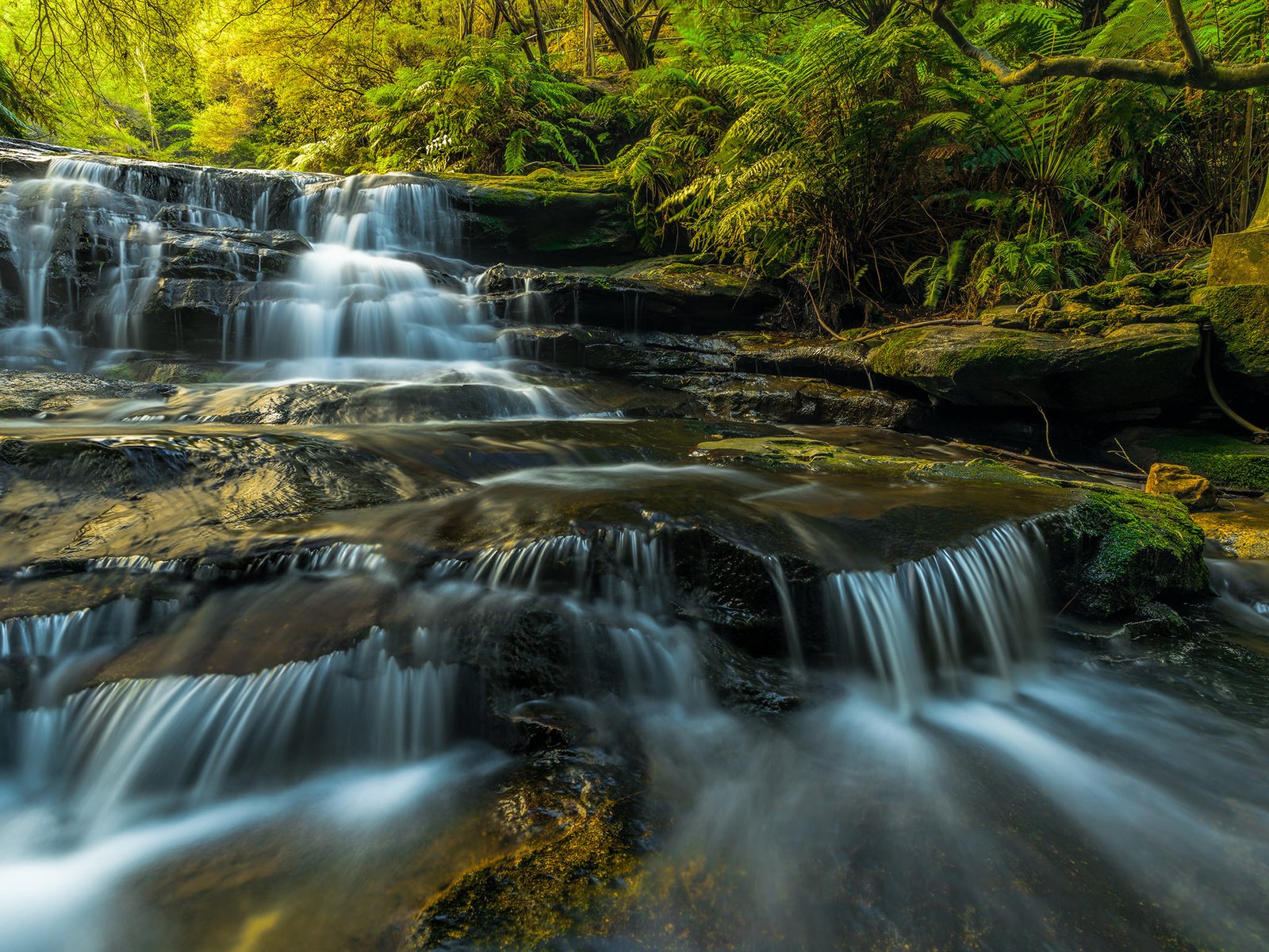 Обои вода, растения, водопад, поток, камень, мох, каскад, скалв, water, plants, waterfall, stream, stone, moss, cascade, scal разрешение 2048x1536 Загрузить