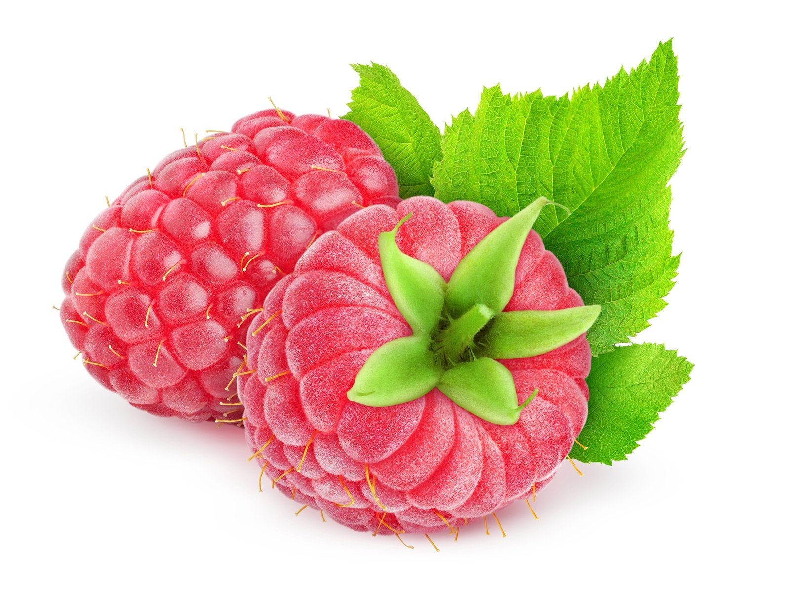 Обои малина, ягода, белое, красное, зеленое, малиновое, raspberry, berry, white, red, green разрешение 2560x1600 Загрузить