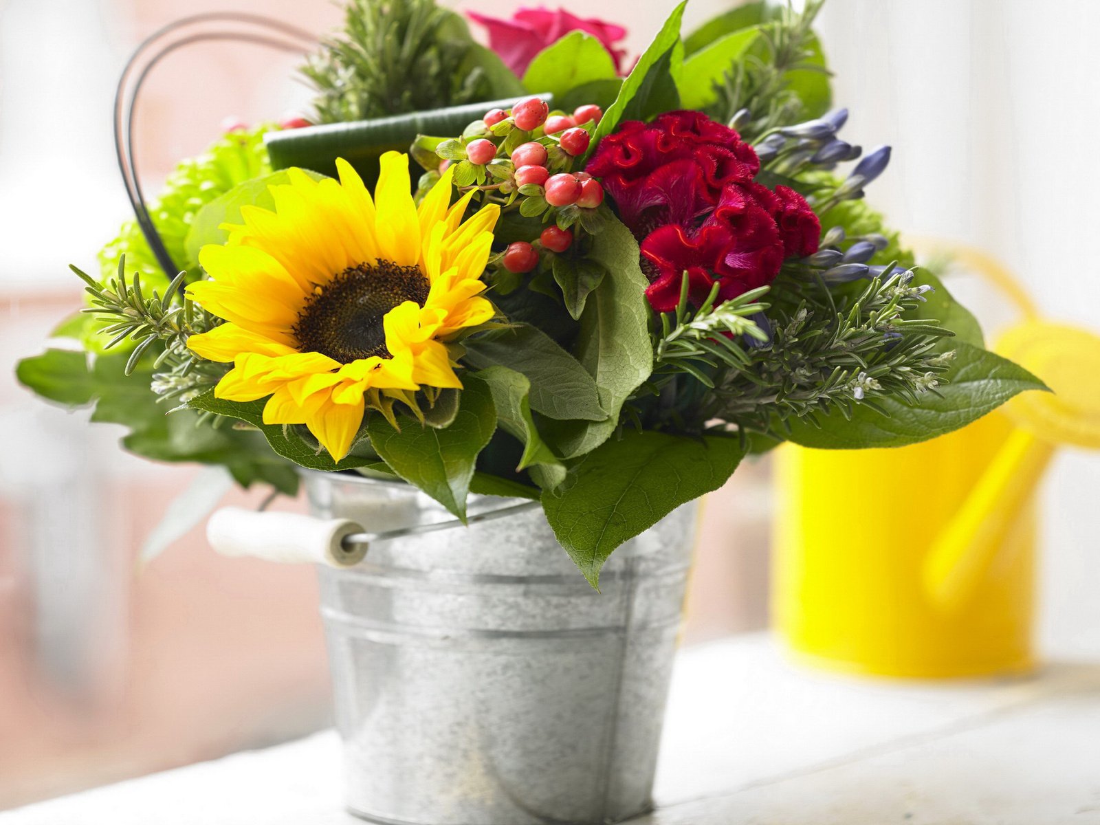 Обои цветы, фото, подсолнухи, гвоздики, flowers, photo, sunflowers, clove разрешение 2000x1568 Загрузить