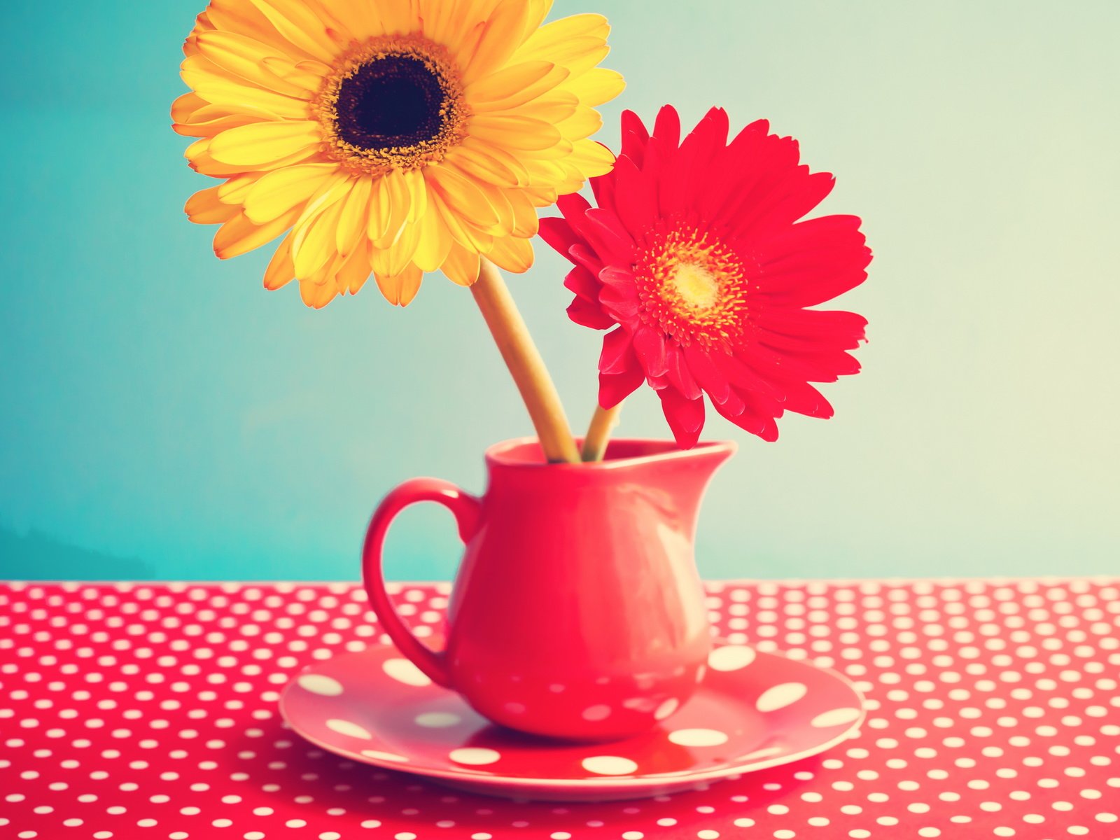 Обои цветы, винтаж, стол, кружка, герберы, гербера,  цветы, flowers, vintage, table, mug, gerbera разрешение 5560x4300 Загрузить