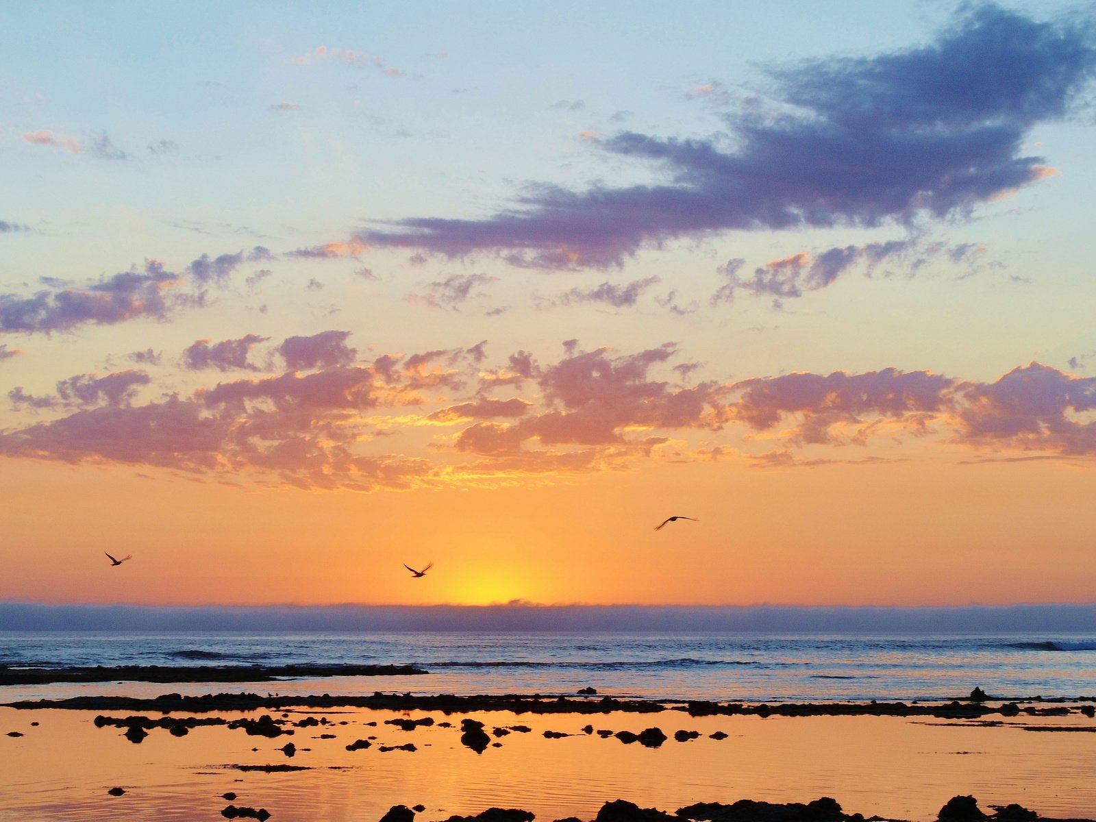 Обои море, пляж, рассвет, чайки, sea, beach, dawn, seagulls разрешение 4874x2655 Загрузить