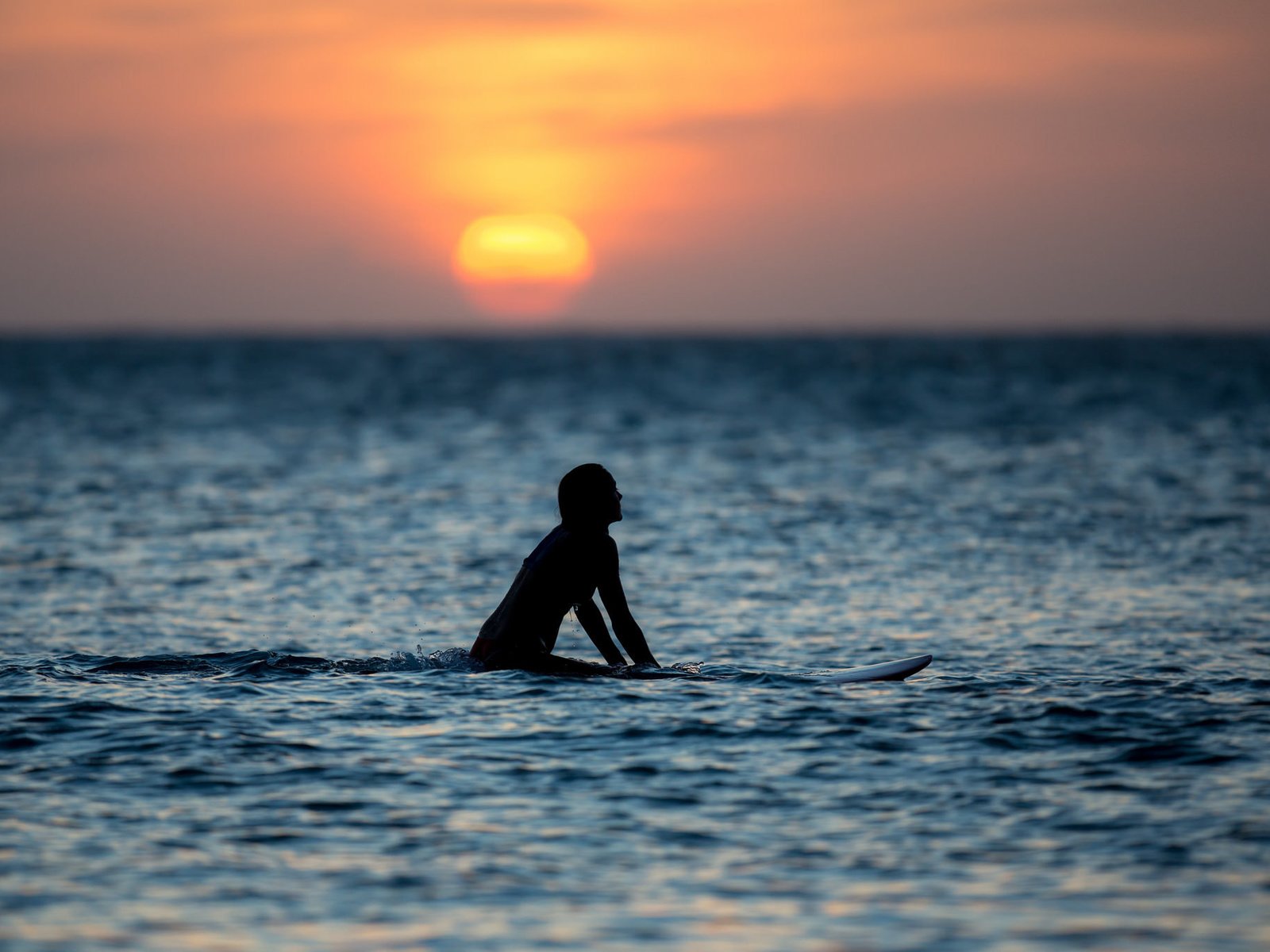 Обои вода, закат, девушка, море, силуэт, серфинг, water, sunset, girl, sea, silhouette, surfing разрешение 2048x1365 Загрузить