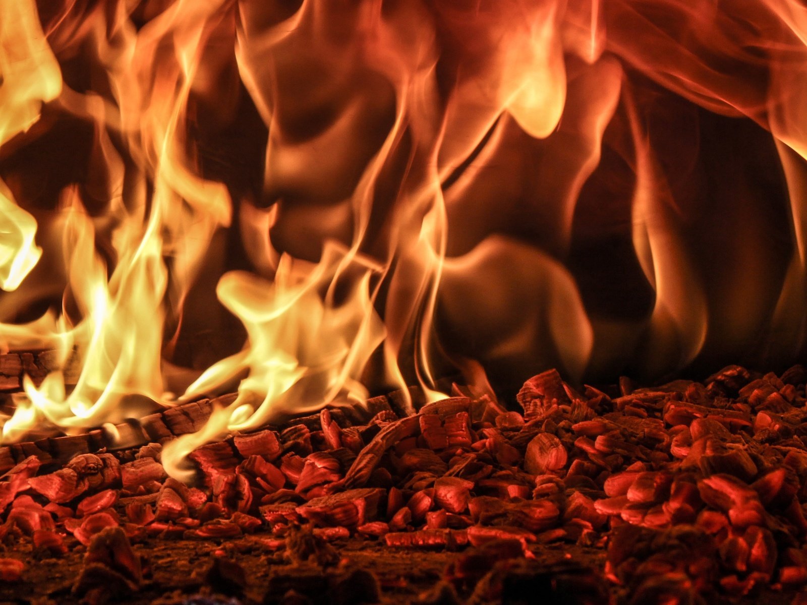 Обои пламя, огонь, угли, костёр, flame, fire, coal, the fire разрешение 3775x2366 Загрузить