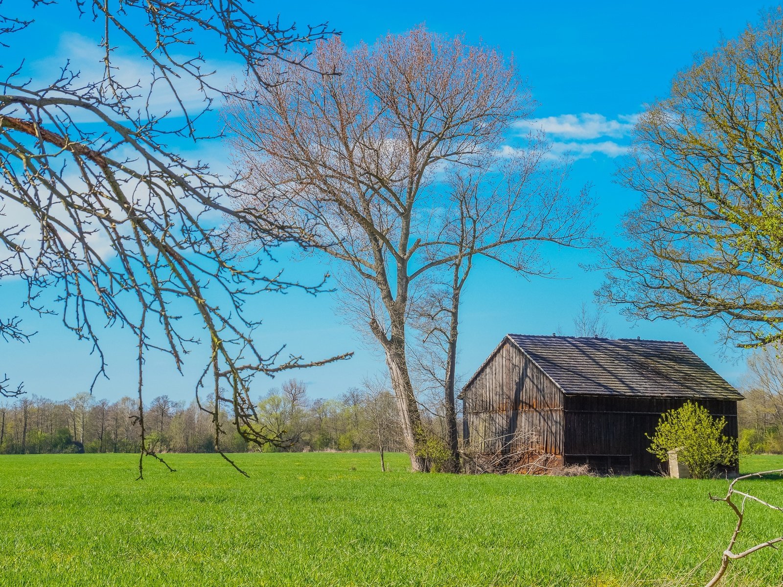 Обои деревья, пейзаж, поле, дом, trees, landscape, field, house разрешение 2880x1917 Загрузить