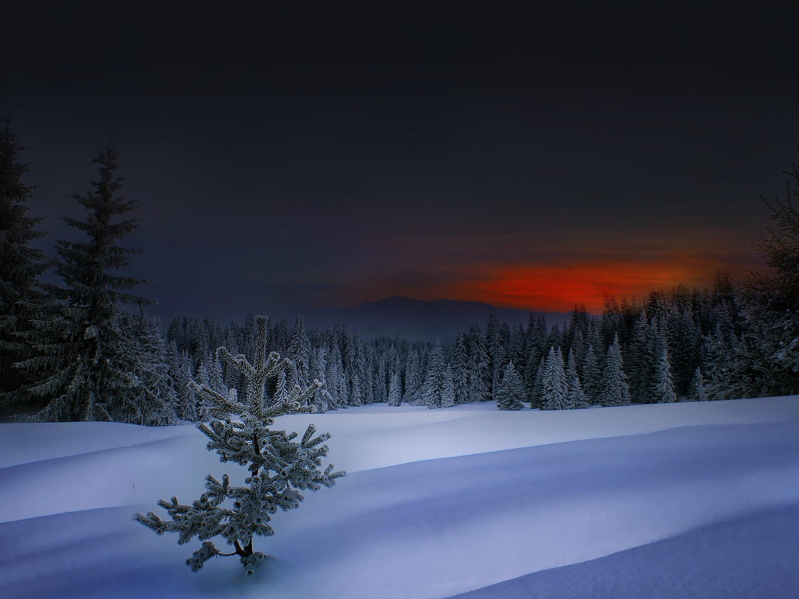 Обои обои, закат, зима, болгария, wallpaper, sunset, winter, bulgaria разрешение 1920x1200 Загрузить